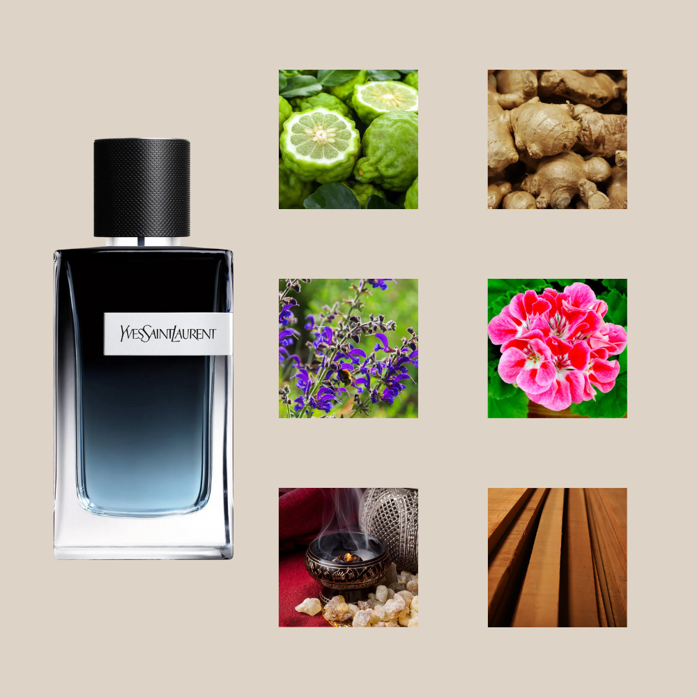 Yves Saint Laurent Y